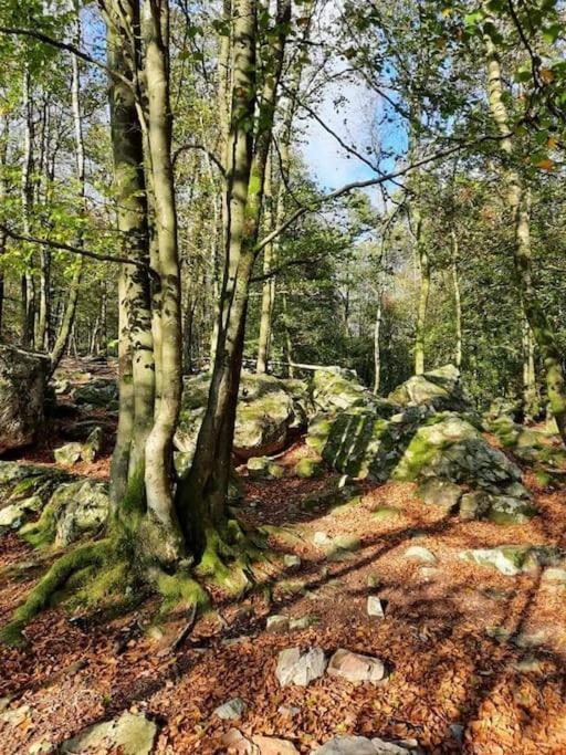 Chalet A L'Oree Du Bois Avec Parking Tournavaux Dış mekan fotoğraf